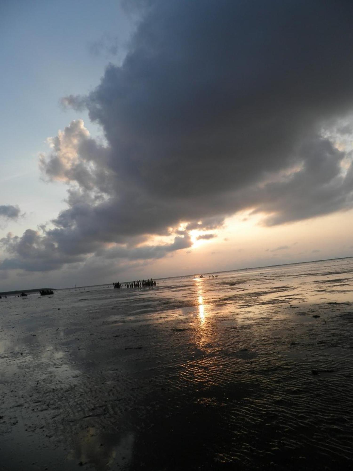 8 Pers House 'Capitein Theis' With Seaside In Front Of The Lauwersmeer Anjum エクステリア 写真