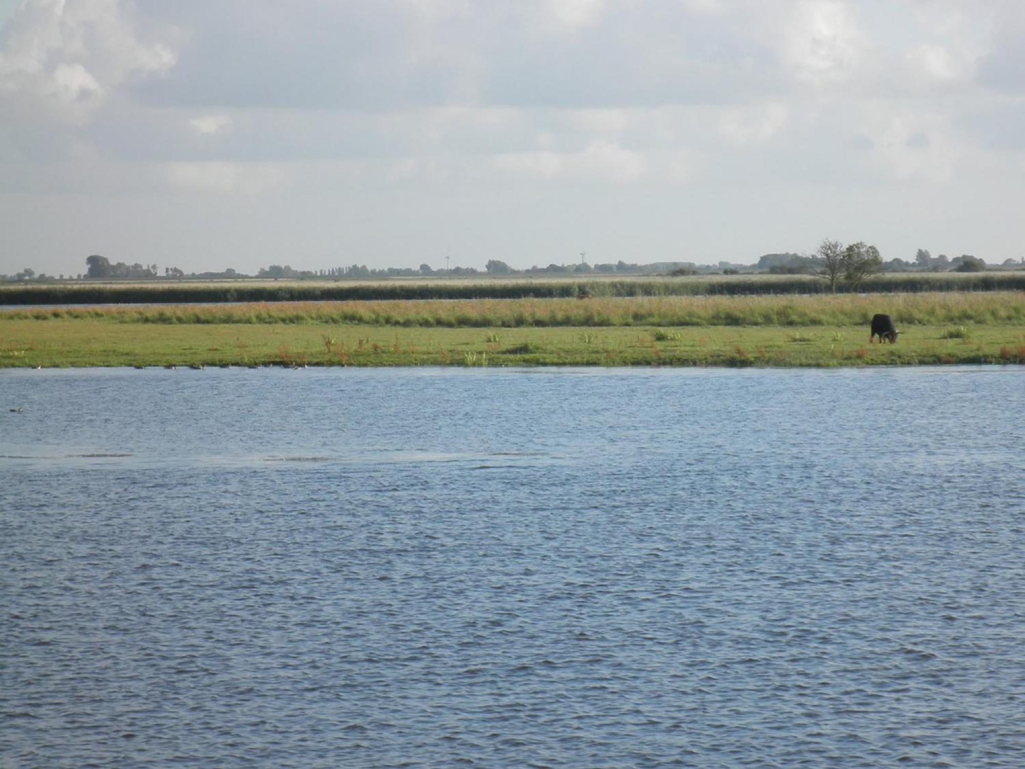 8 Pers House 'Capitein Theis' With Seaside In Front Of The Lauwersmeer Anjum エクステリア 写真